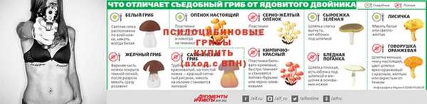 индика Тихорецк