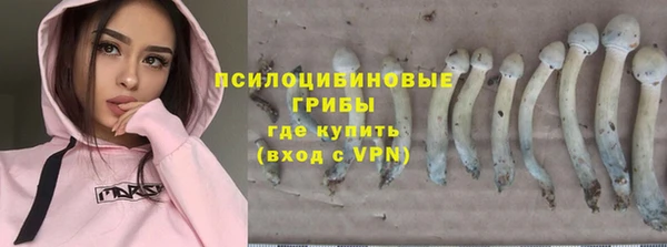 индика Тихорецк