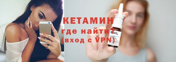твердый Тайга