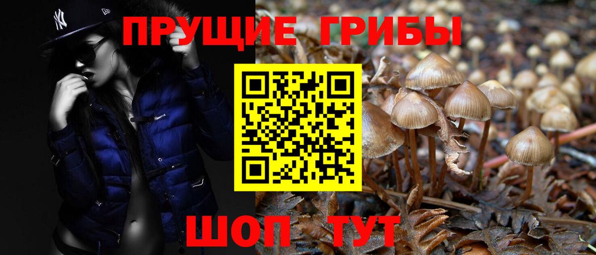 Галлюциногенные грибы Magic Shrooms  Вход с VPN  Галлюциногенные грибы MAGIC MUSHROOMS  Псков 