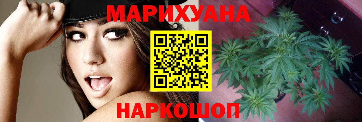Конопля гибрид Псков